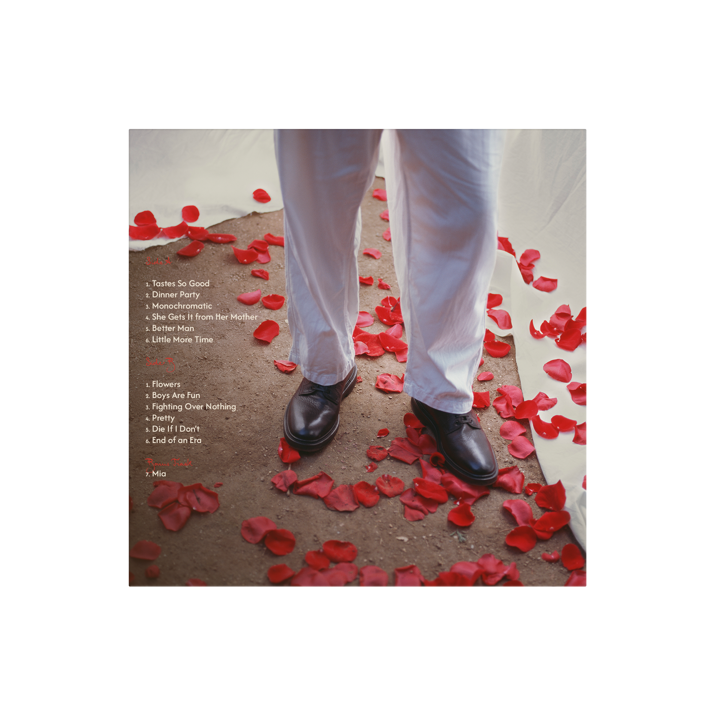 Dinner Party - Target Exclusive Merlot Vinyl Back Cover