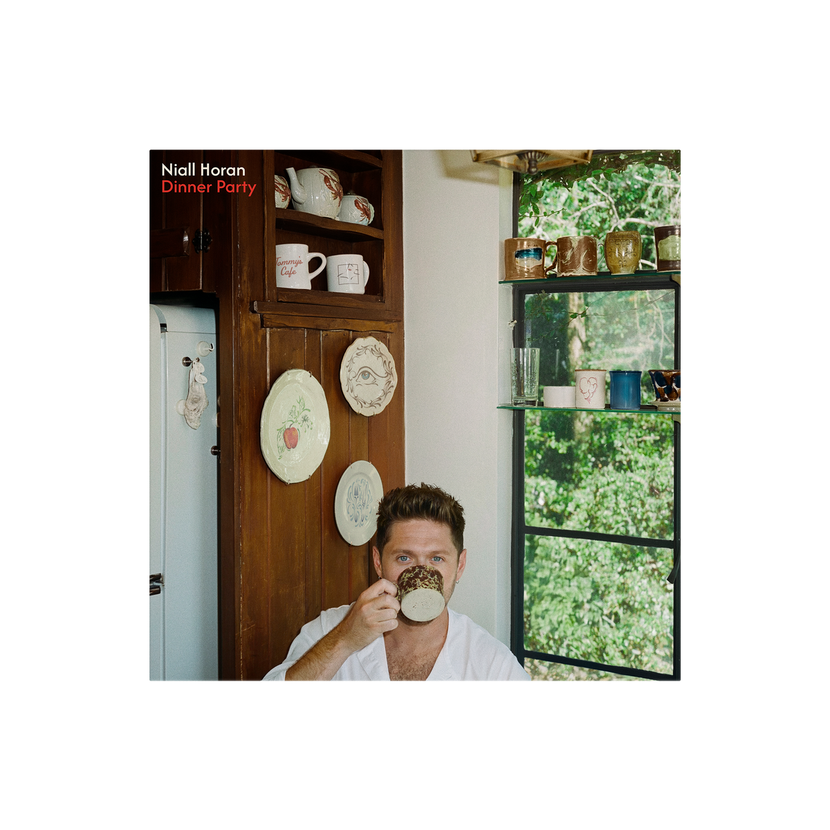 Dinner Party - Signed Porcelain Vinyl - Niall Horan Official Store Dinner Party - Signed Porcelain Vinyl - Niall Horan Official Store