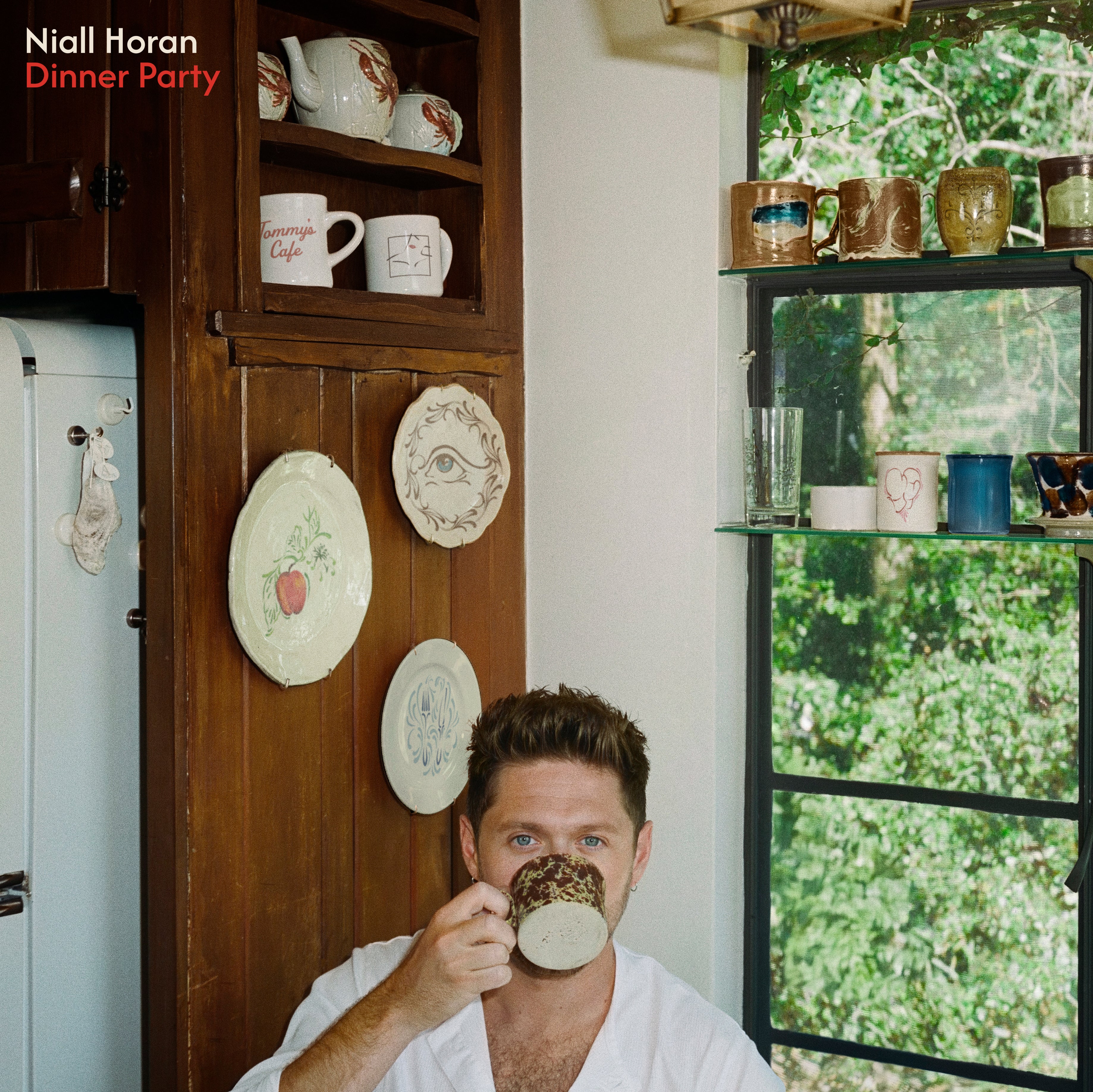 Dinner Party - We're Not Really Strangers Edition Vinyl Cover