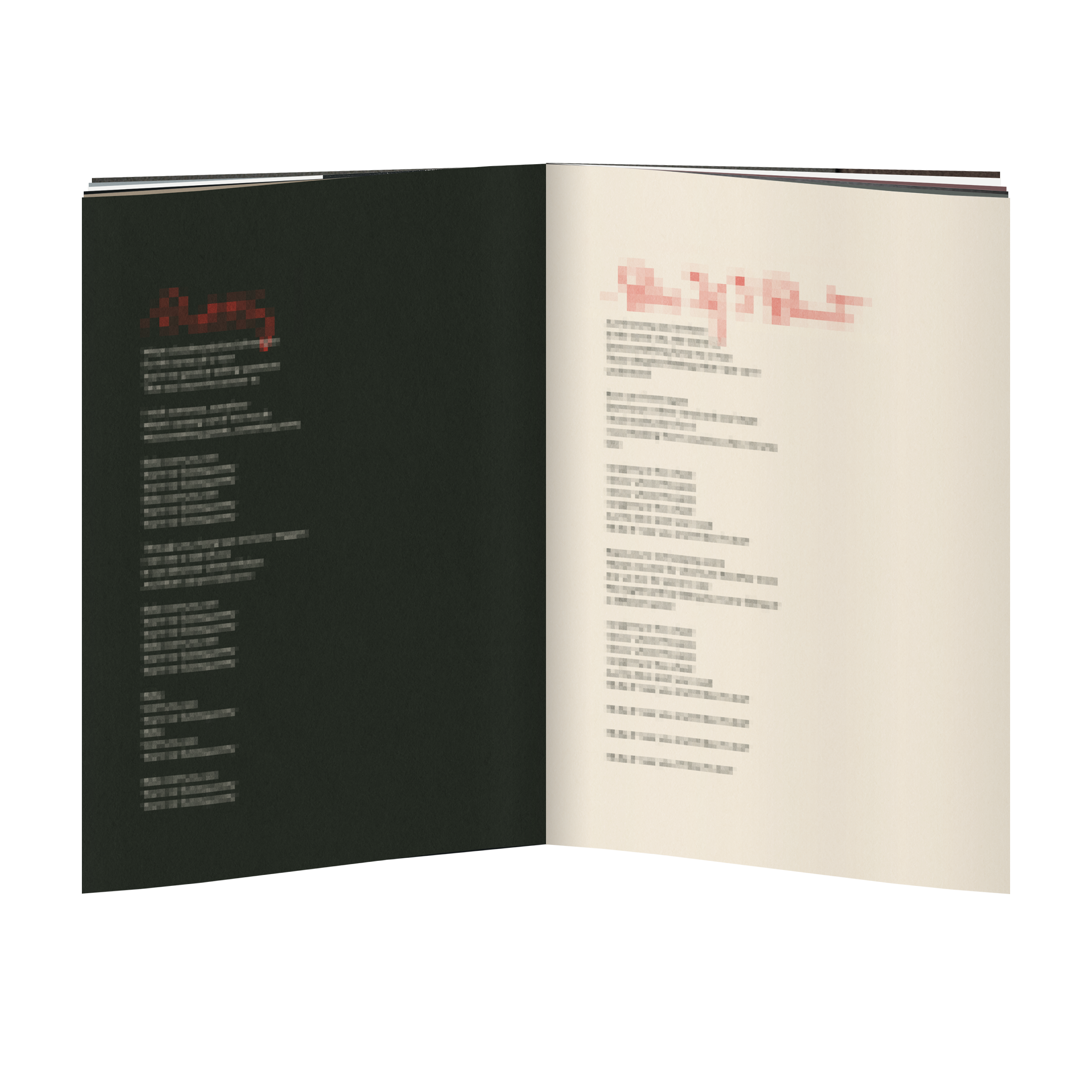 Dinner Party - Red Booth Edition Vinyl Zine
